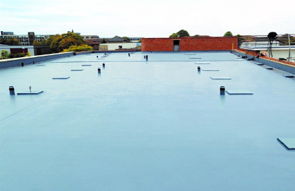 A flat roof covered with Liquiflex Pro